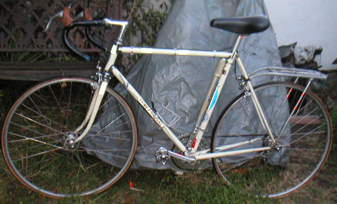 Windsor Professional Bicycle